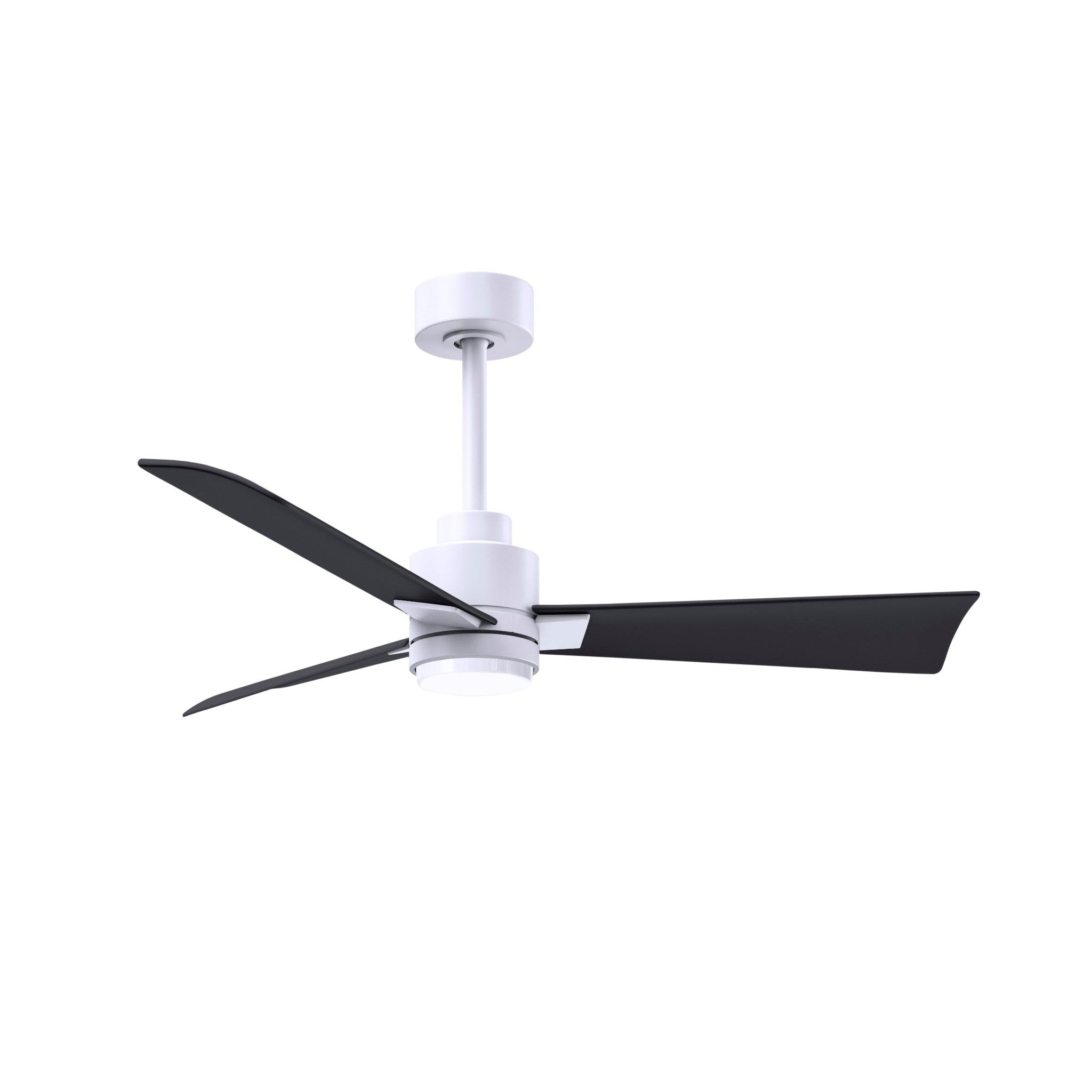 Alessandra 3 Blade Ceiling Fan - No Light - Image 6
