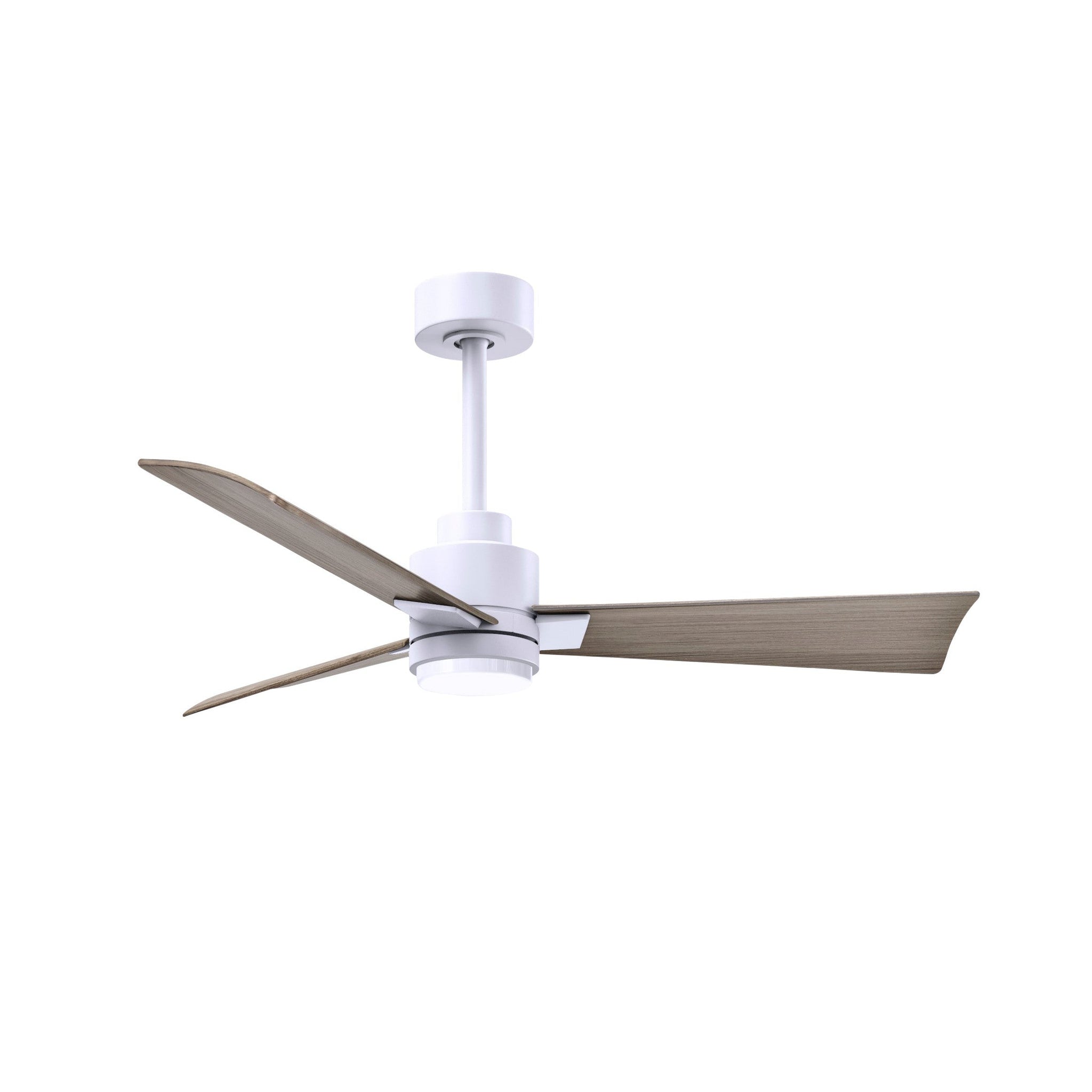 Alessandra 3 Blade Ceiling Fan With Light - Image 131