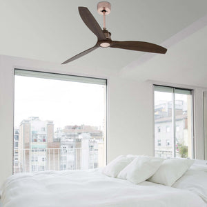 Just Fan - Image 7