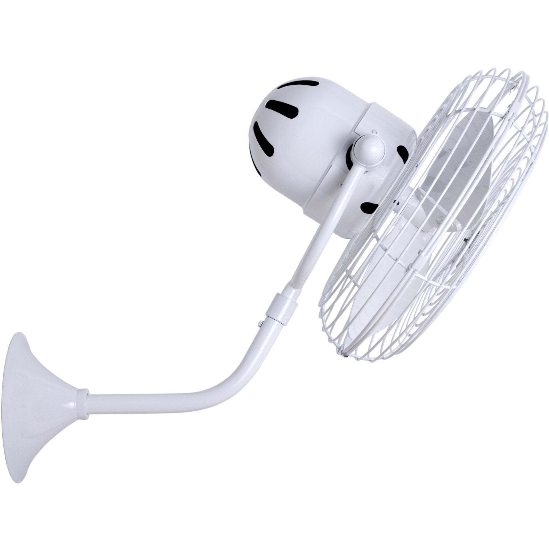 Michelle Parede Wall Fan - Image 5