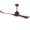 Indoor Ceiling Fans
